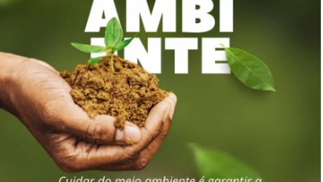 Sem título