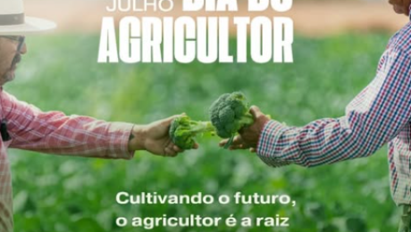 Sem título