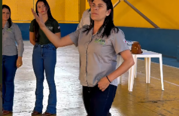 Sem título